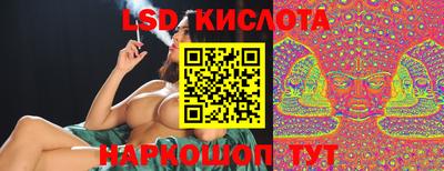 тгк Новодвинск