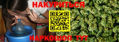 тгк Новодвинск