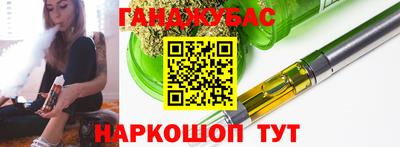 тгк Новодвинск