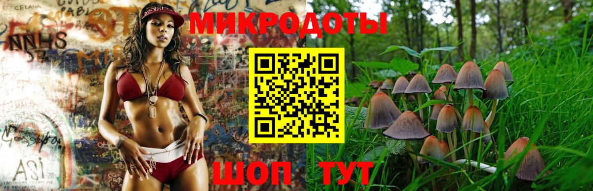 Галлюциногенные грибы GOLDEN TEACHER Сокол